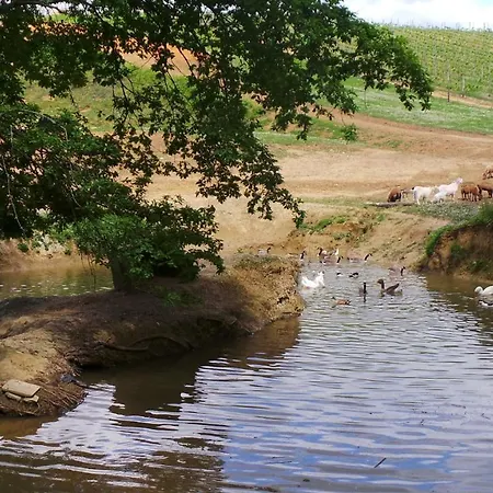 Horizon Luxe tent Monprimblanc