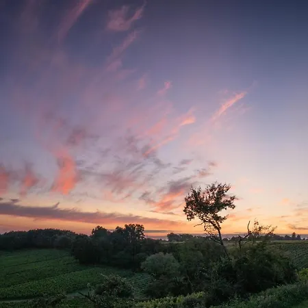 Horizon Tente de luxe Monprimblanc