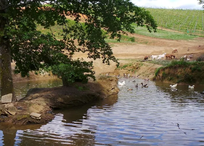 Horizon Luxury tent Monprimblanc